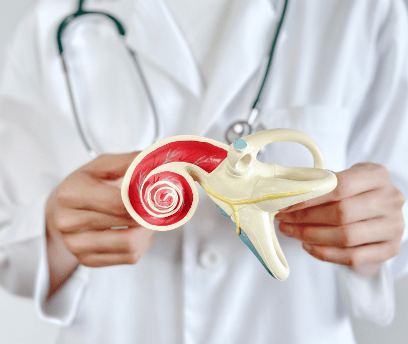 middle ear health